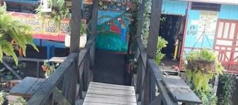 hostal tachiwa-hormiga