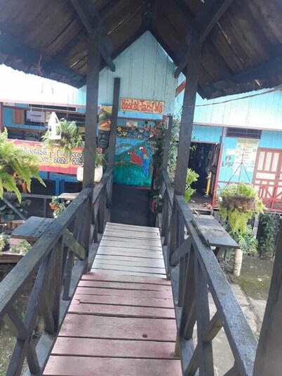 hostal tachiwa-hormiga