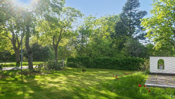 Un jardín exuberante con diversos árboles y una estructura de ladrillo blanco con un ventanal arqueado.