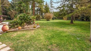 A well-maintained garden with a variety of trees and plants, stone pathways, and large terracotta pots. - Pet friendly home in Entraigues-sur-la-Sorg (Entraigues-sur-la-Sorg)