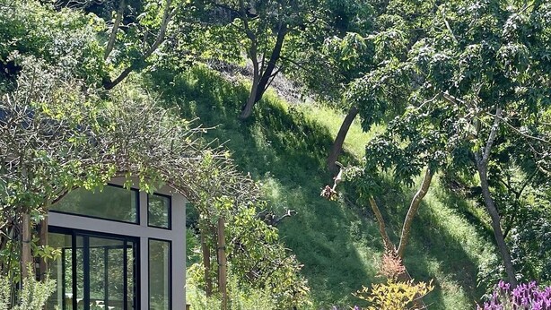 Unclassified image, 1 of 39, button - Designer Retreat w/ Hot Tub, Huge Backyard Oasis (Santa Cruz)