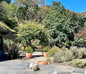 Overnattingsstedets uteområder