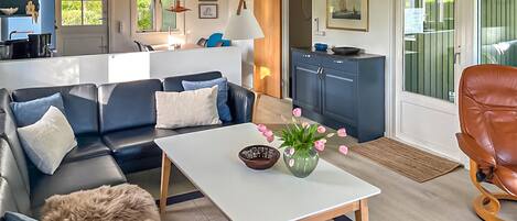 Smart TV, caminetto, lettore DVD, tavolo da ping pong