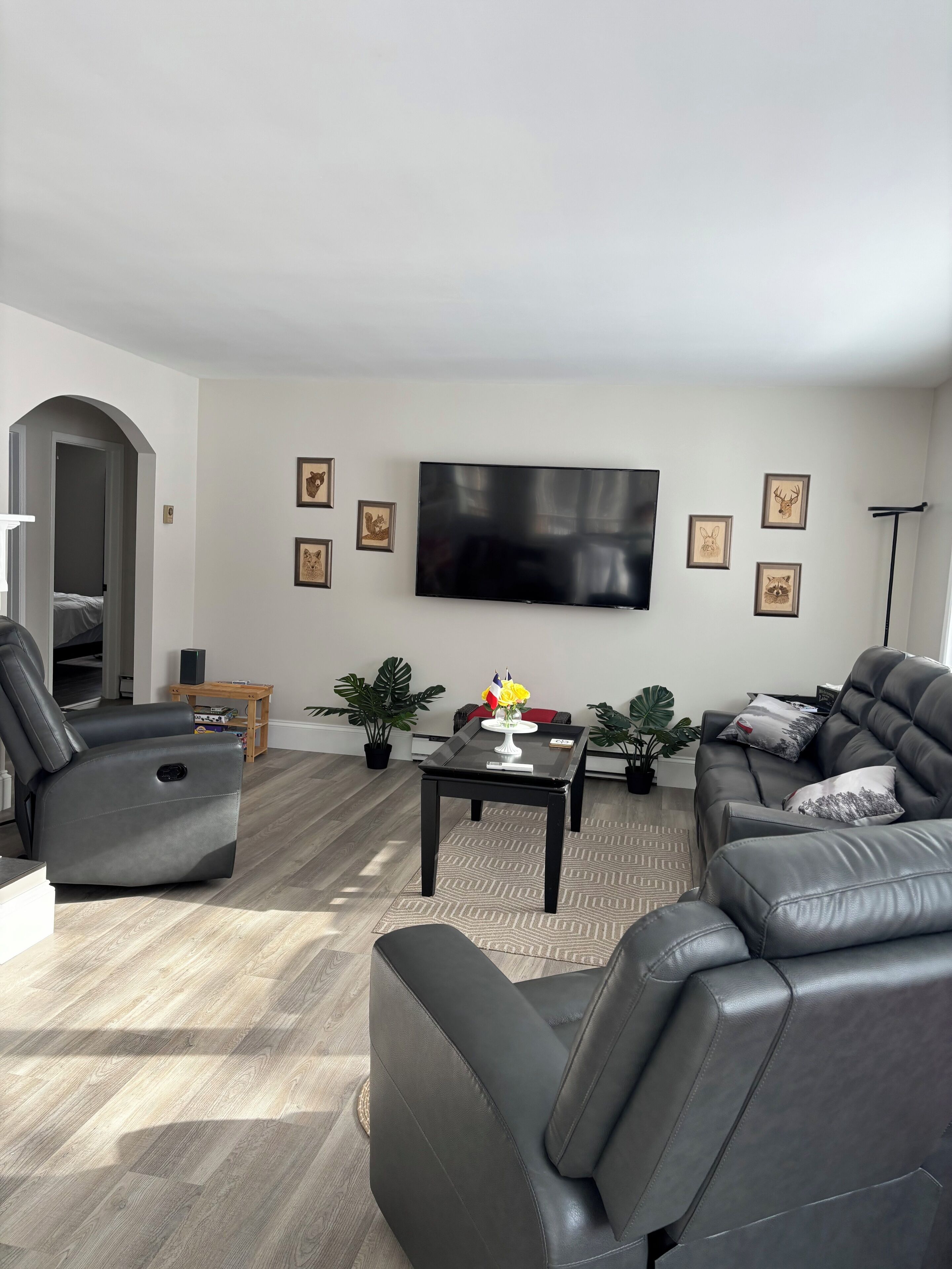 Smart TV, fireplace