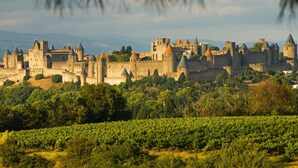 Un castillo histórico con múltiples torres y una muralla, con un viñedo y montañas lejanas al fondo.