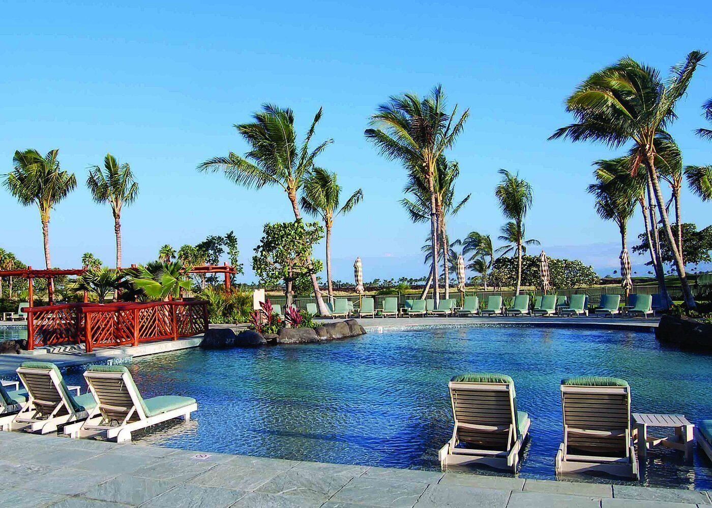 A pool area with lounge chairs, palm trees, and a clear sky.