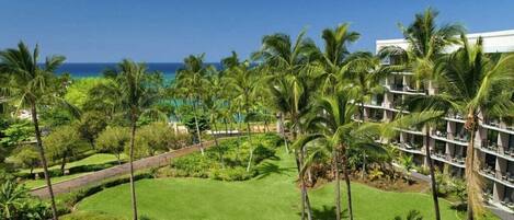 A resort with a pool, palm trees, and a view of the ocean.