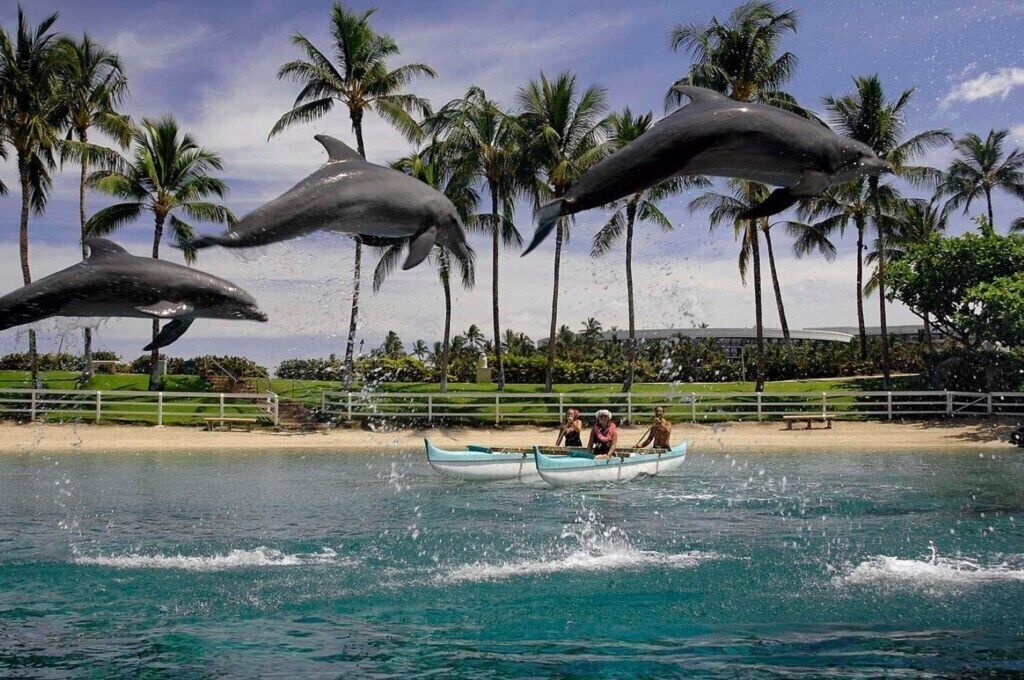 A boat with passengers and dolphins jumping above it.