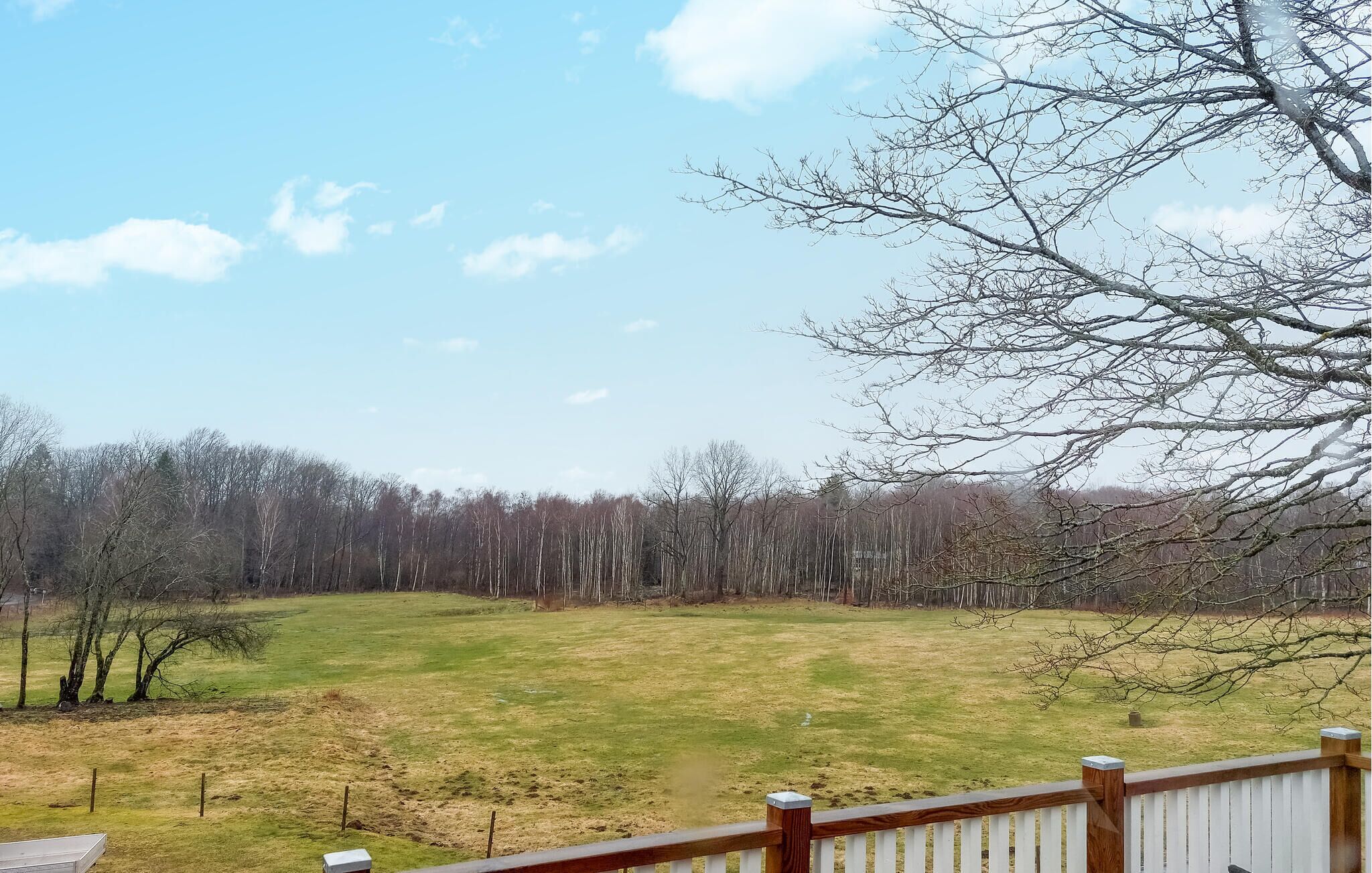 A grassy field with trees in the background and a wooden fence in the foreground.