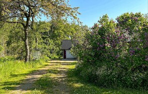 Ulkoalueet