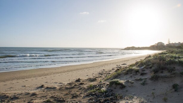 Strand