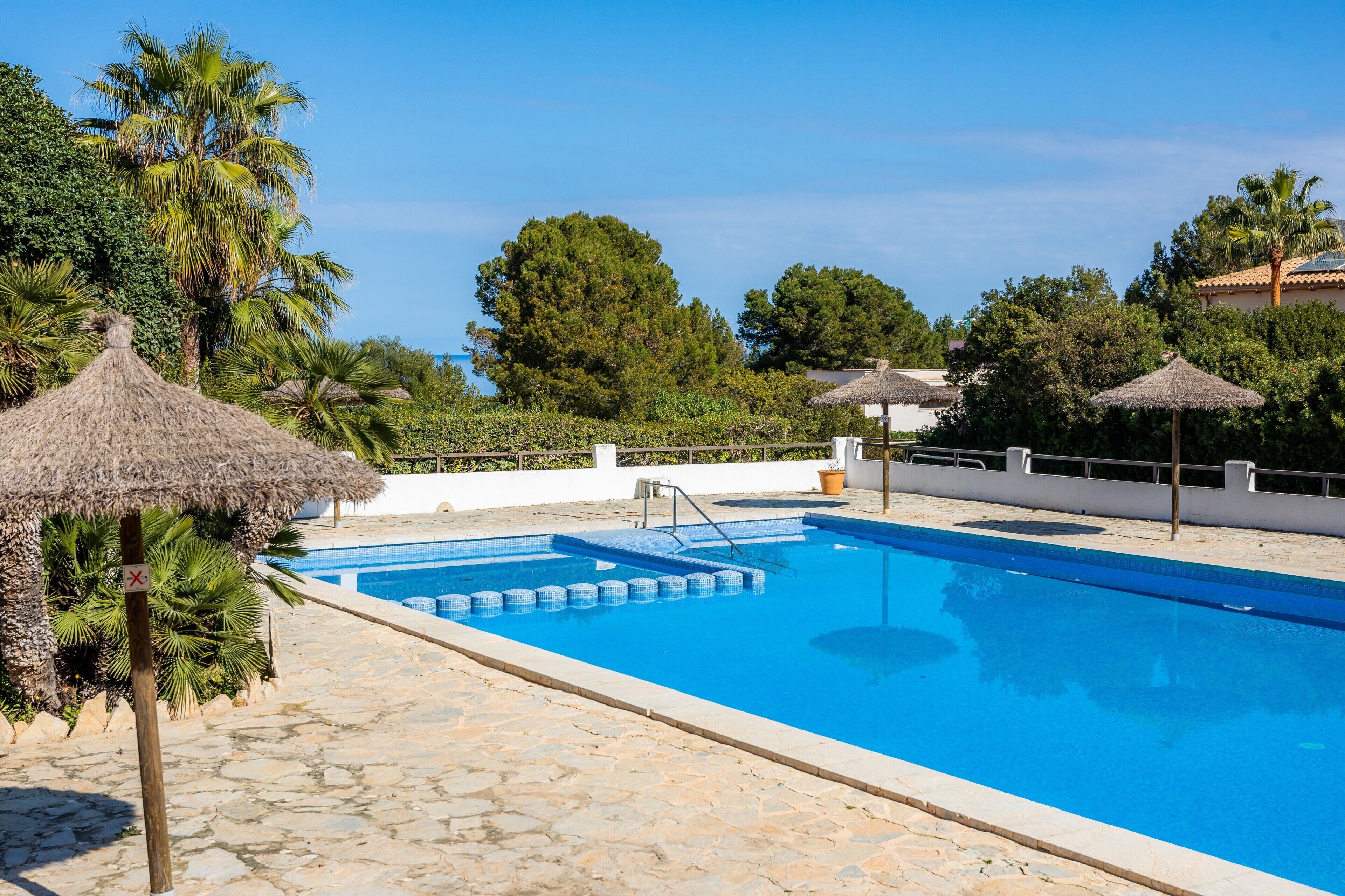 A swimming pool with a stone deck, surrounded by palm trees and thatched umbrellas.