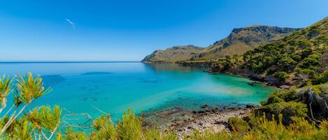 بالقرب من الشاطئ