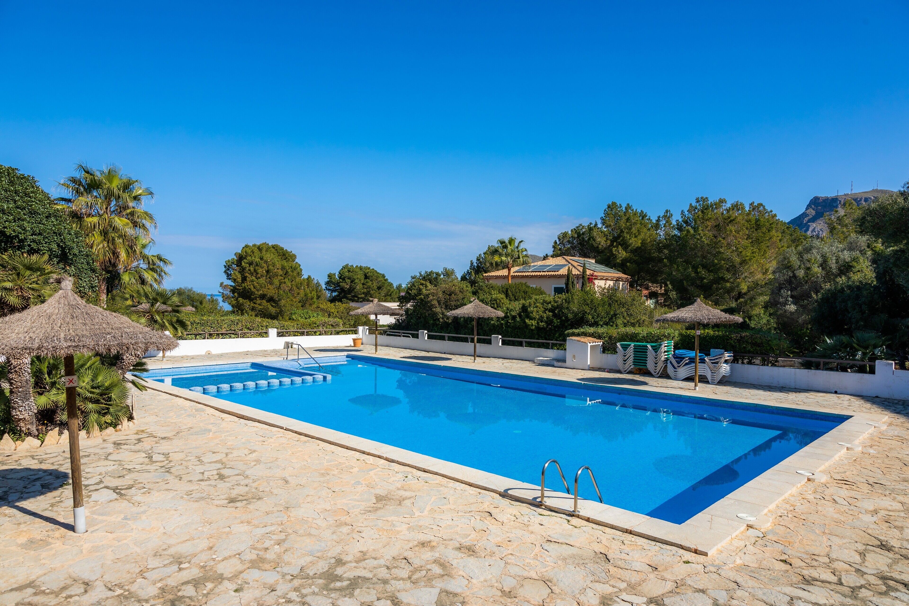 Une piscine rectangulaire bordée d’une terrasse en pierre, entourée de palmiers et avec une montagne en toile de fond.
