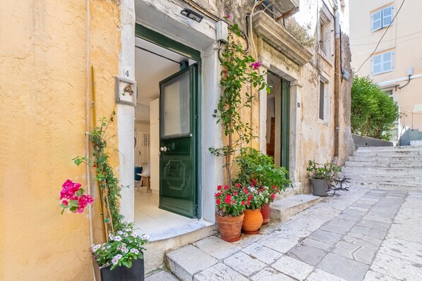 A narrow street with a building entrance, potted plants, and a staircase.