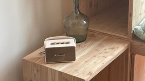 Un bureau en bois, un amplificateur Marshall vintage et un vase contenant des plantes de coton.