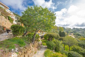 Un chemin de pierres mène à une propriété située sur une colline, avec un sentier bordé d’arbres et un bâtiment doté de balcons.