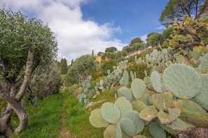 Property grounds - Apartment 'Le Mas Berliat F2 N°14' with Sea View, Wi-Fi and Air Conditioning (Bormes-les-Mimosas)