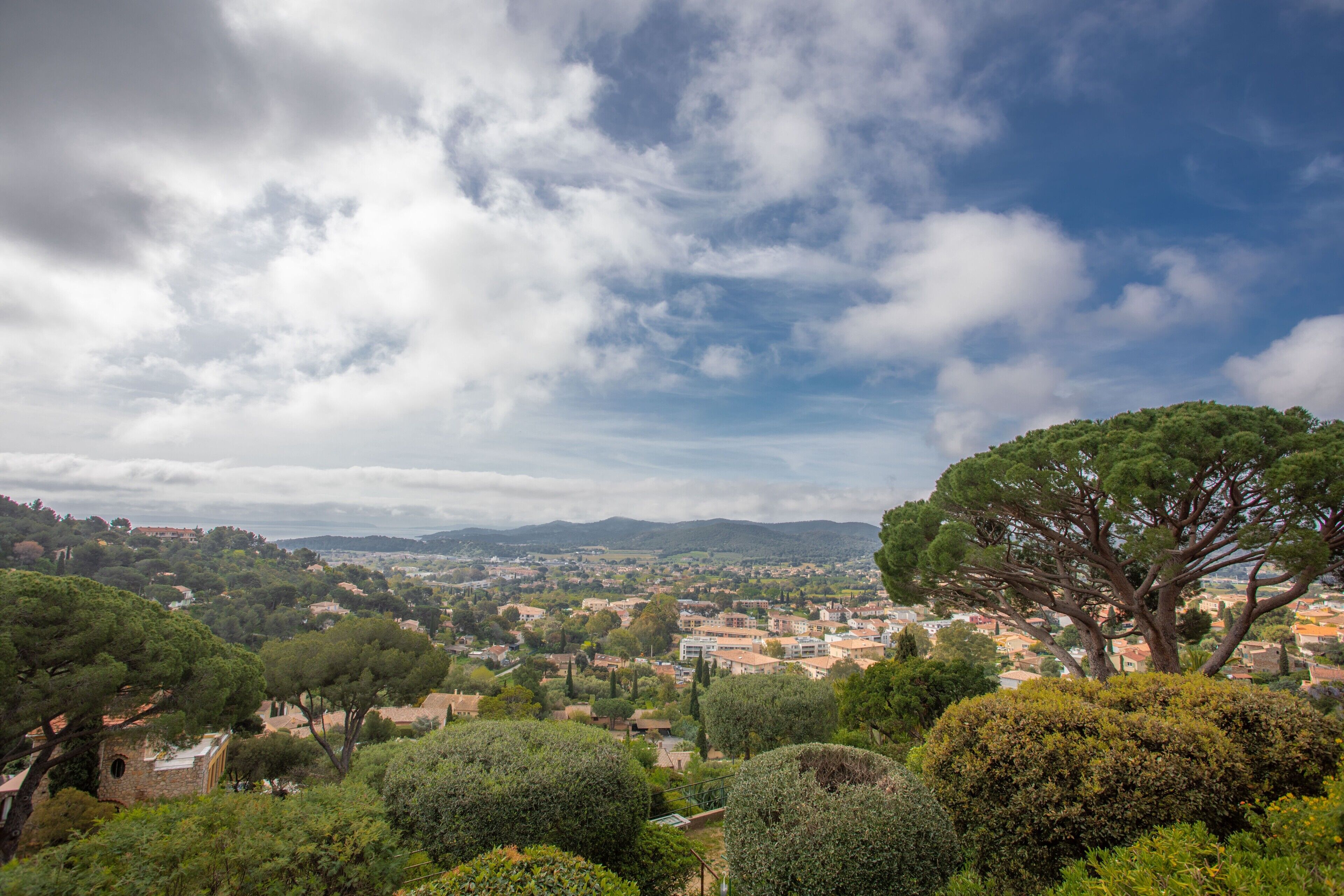 A panoramic view of a town with a prominent tree in the foreground, a mix of residential and commercial buildings, and a distant mountain range.