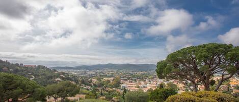 A panoramic view of a town with a prominent tree in the foreground, a mix of residential and commercial buildings, and a distant mountain range.