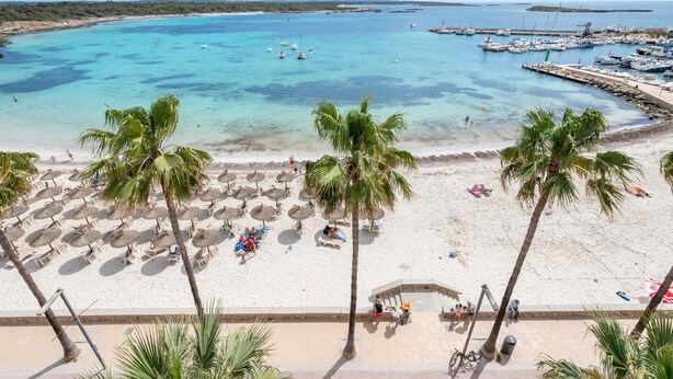 Una spiaggia con acque cristalline turchesi, palme e un porto turistico con barche.