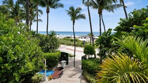 A pathway leading to a beach with palm trees and a clear view of the ocean. - Direct Ocean View Studio at Sorrento Fontainebleau, Miami Beach (Miami Beach)