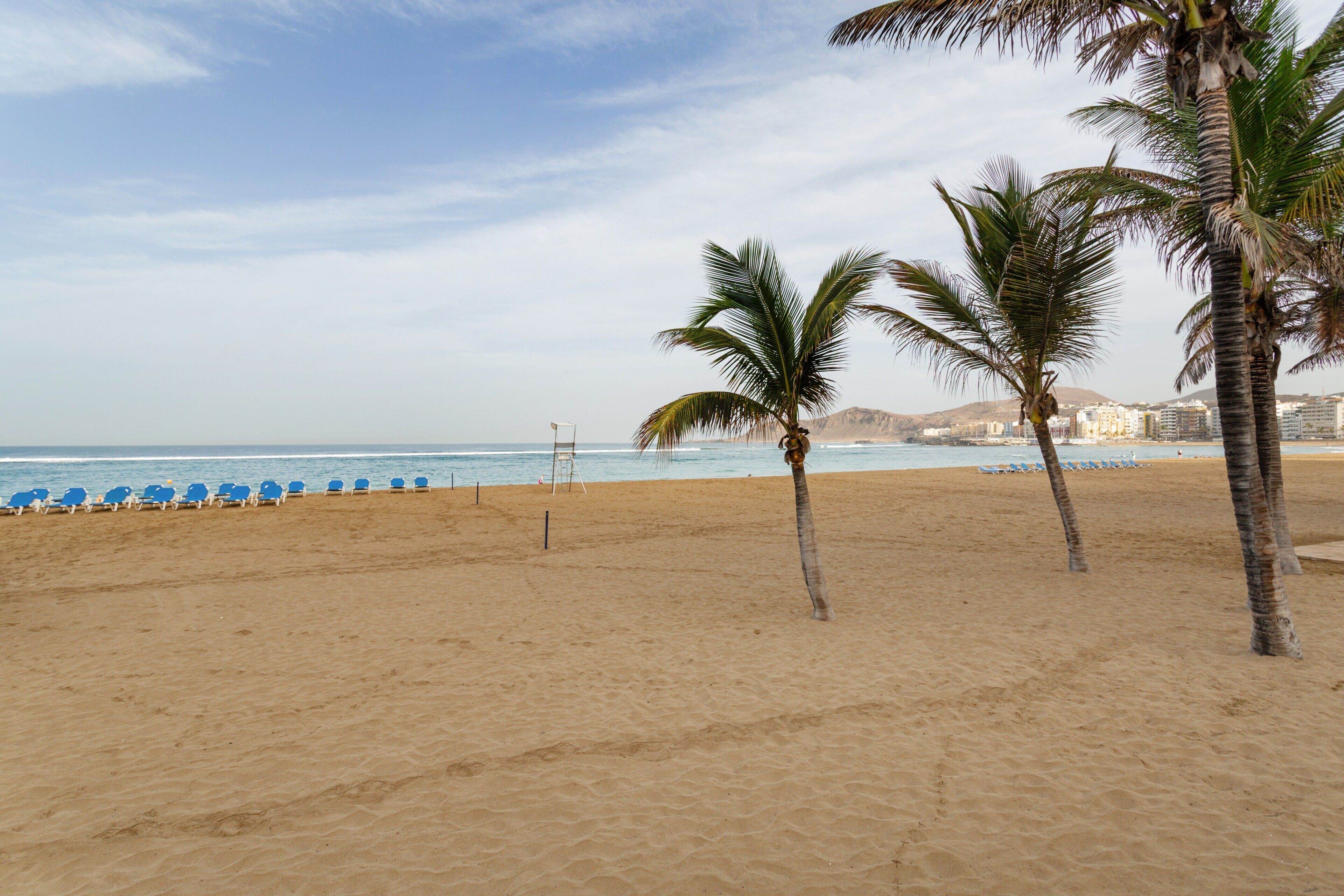 A beach with palm trees, a row of blue beach chairs, and a clear sky.