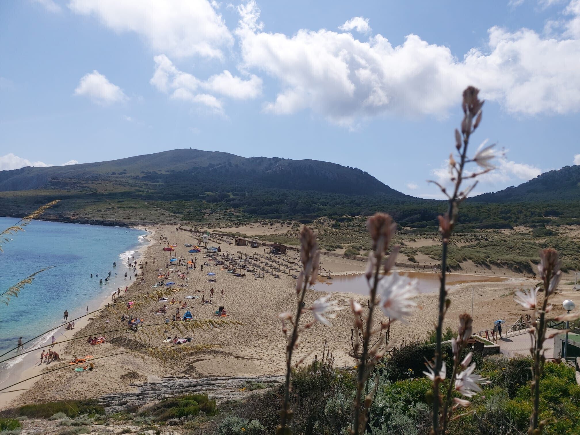 Uma praia com pessoas e guarda-sóis, céu claro e montanhas ao fundo.