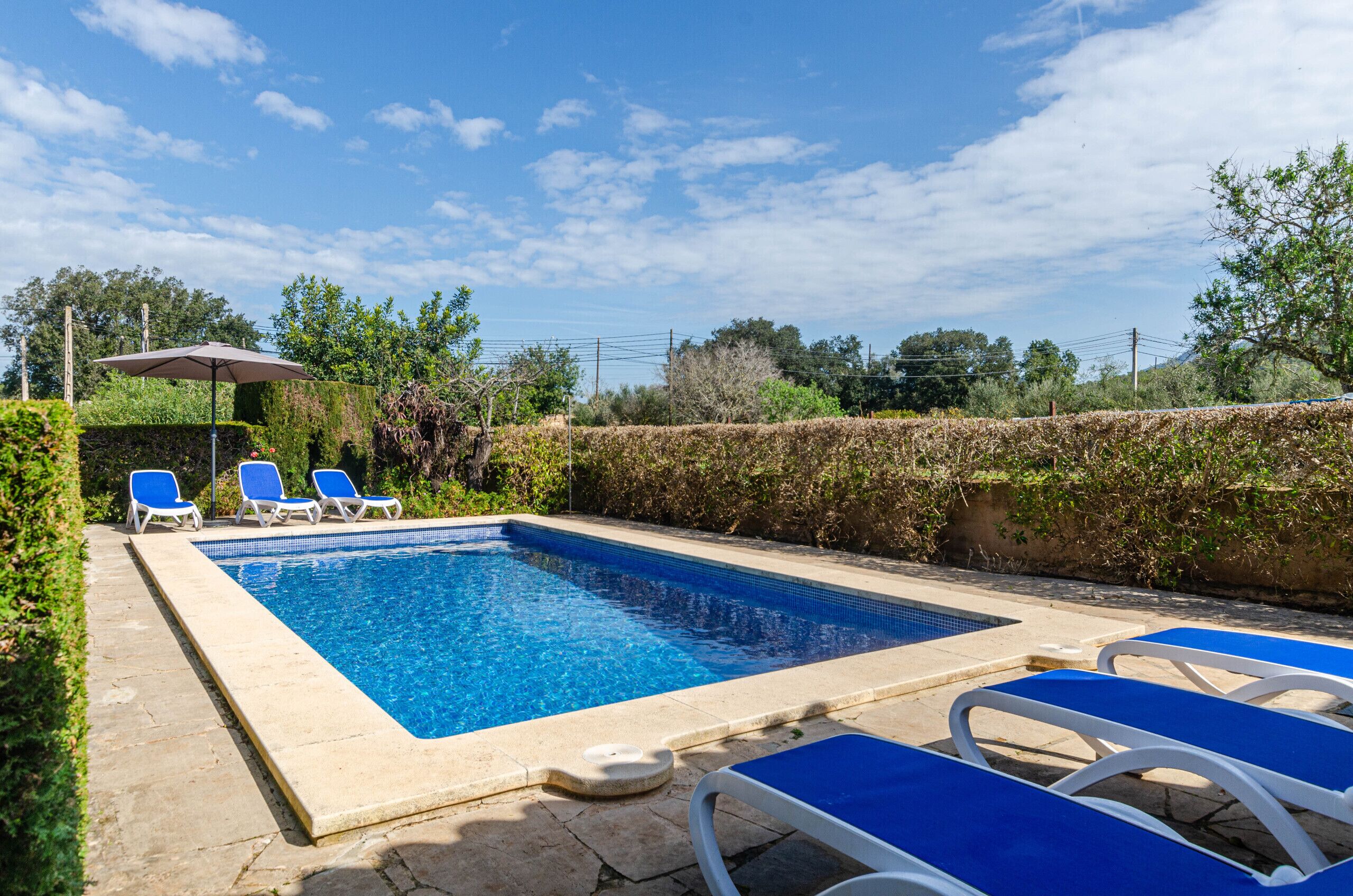 A rectangular swimming pool with blue tiles, surrounded by a stone deck. There are blue lounge chairs along the pool's edge.