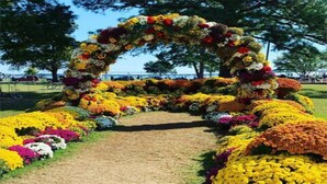 A pathway lined with colorful flower arrangements leading to an archway. - Amazing 3 BR Home | 5 mins to DT | Pet Friendly (New Bern)