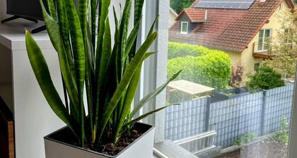 Ruhiges Apartment am Waldrand für zwei