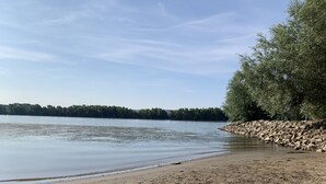 A sandy beach with a calm lake, surrounded by trees and a rocky shoreline. - Ruhiges Apartment am Waldrand (Geisenheim)