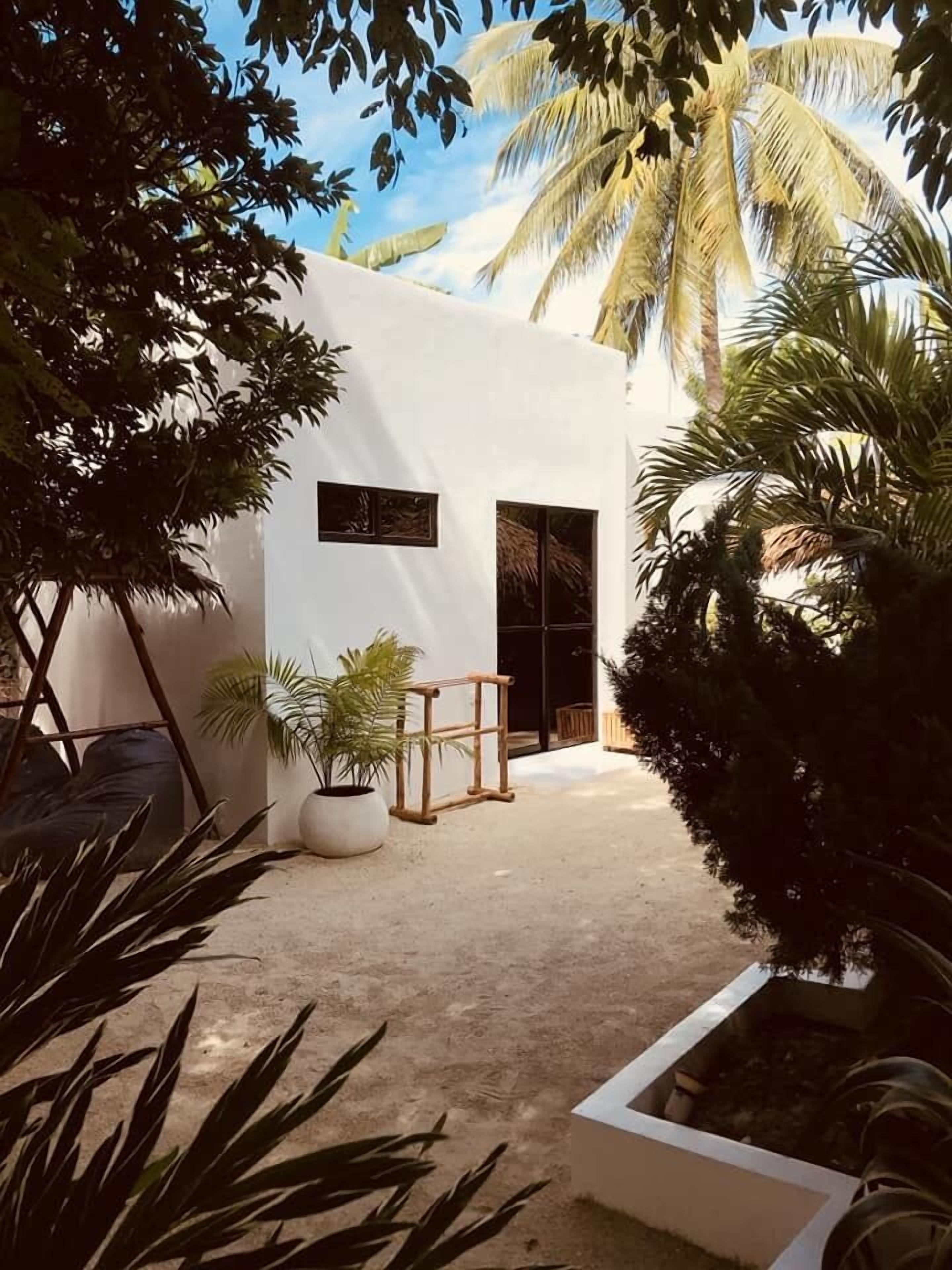A white building with a small entrance, surrounded by tropical plants and palm trees.