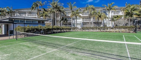 Sport court