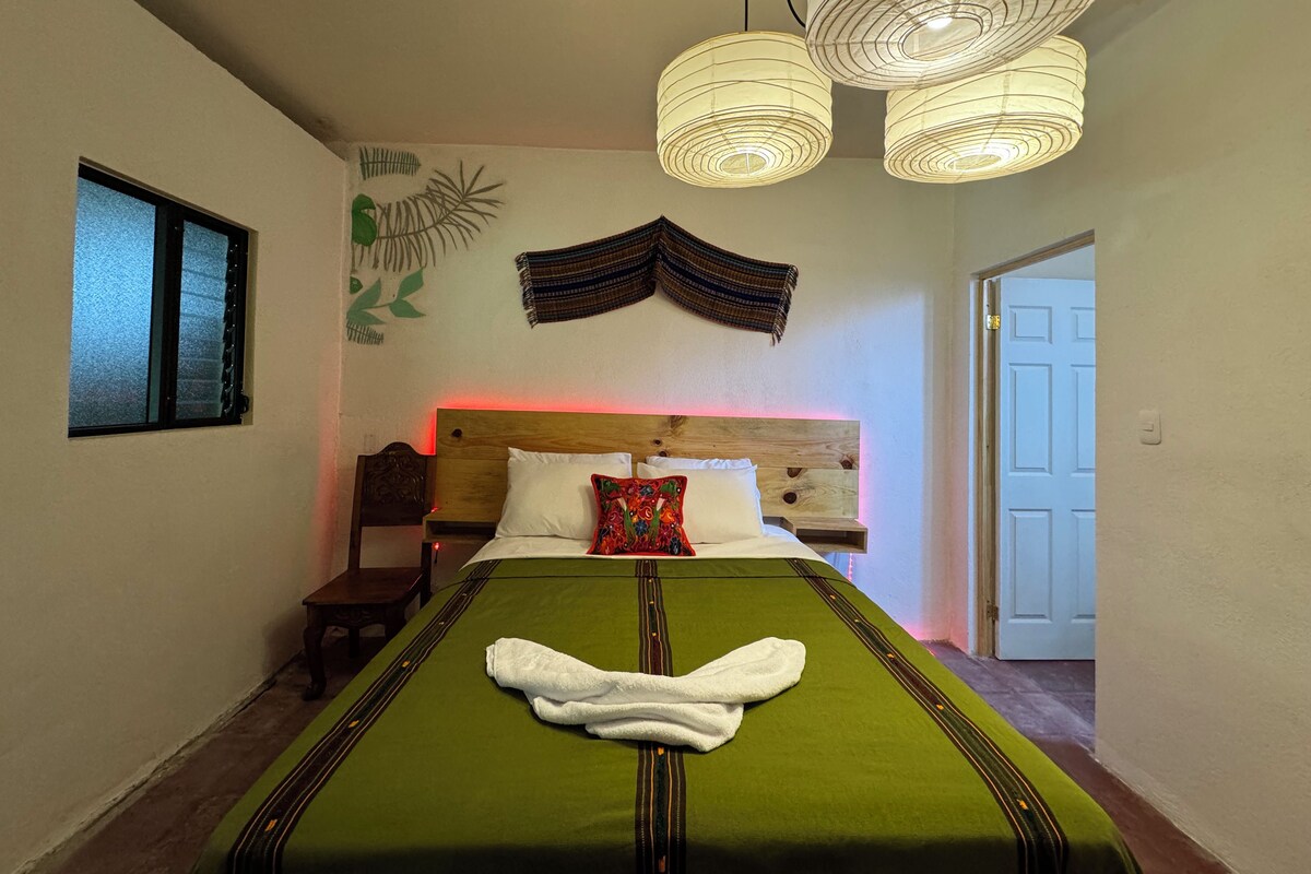 Une chambre d’hôtel avec un lit, une table de chevet, une fenêtre, une plante fixée au mur et une porte.