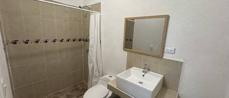 Un baño con ducha, inodoro, lavabo y espejo.
