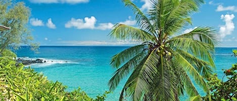 Plage, chaises longues, serviettes de plage