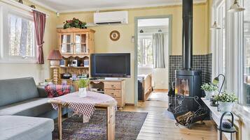 TV, fireplace, DVD player