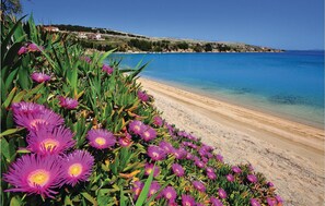 Vlak bij het strand