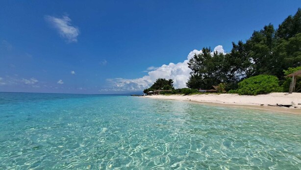 A clear turquoise sea with a sandy beach and lush greenery. - VILLA AURORA (Gili Meno)