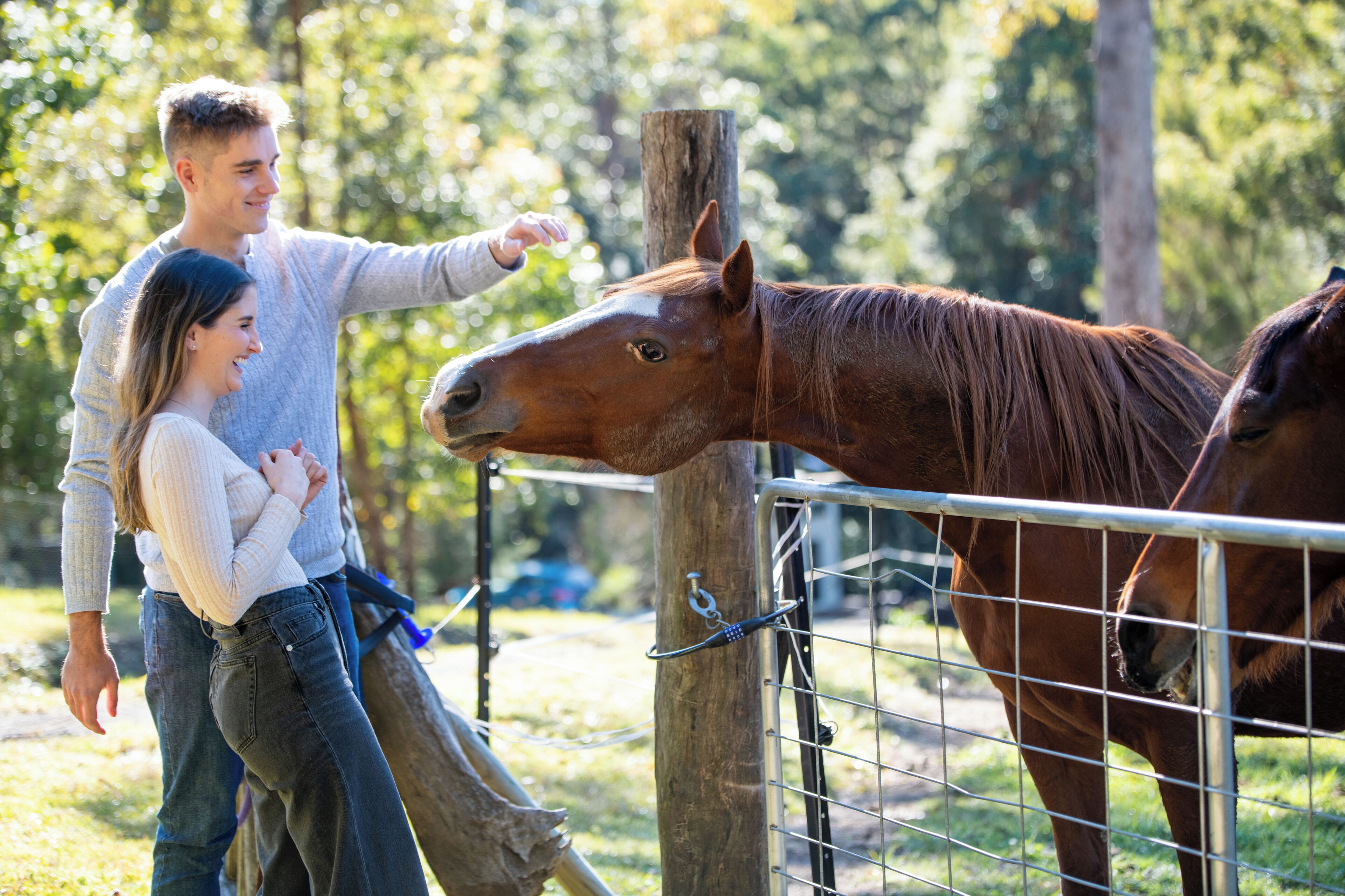 A couple interacting with a horse behind a fence in a natural setting.