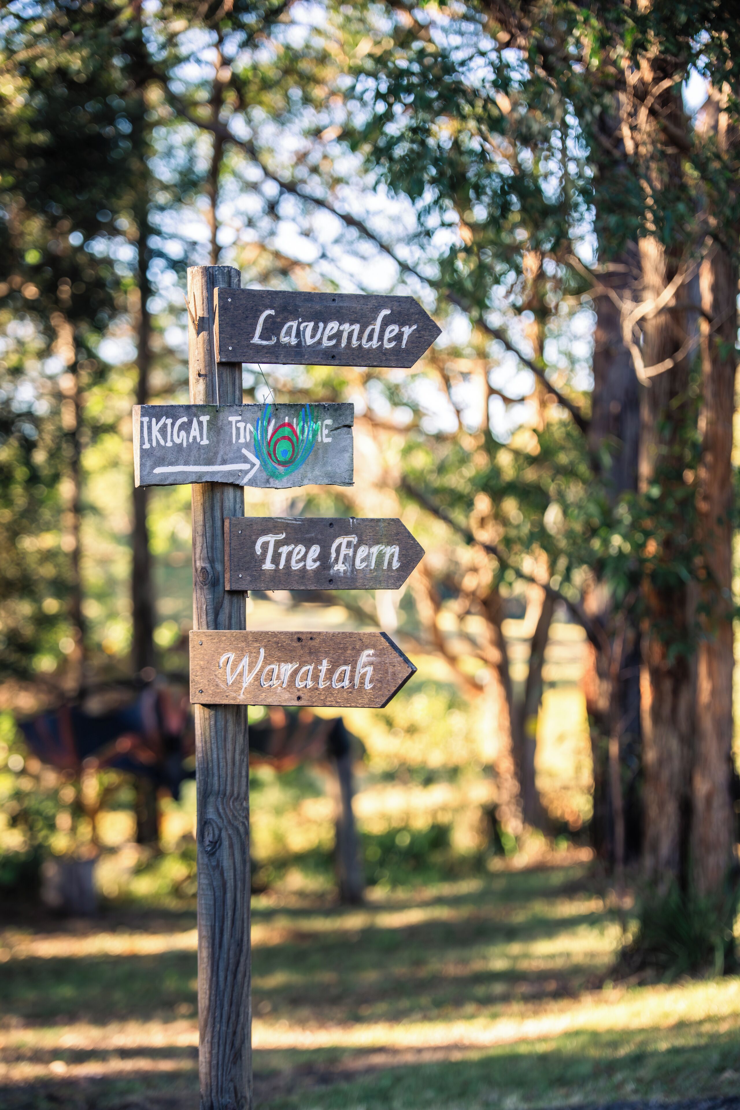 A wooden signpost with directional arrows pointing to different locations.
