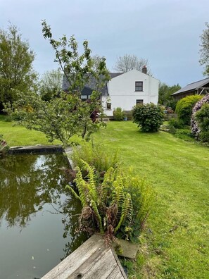 Área da propriedade