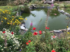 المنطقة المحيطة بالمنشأة