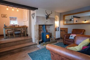 テレビ、暖炉、ステレオ