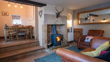 TV, fireplace, stereo