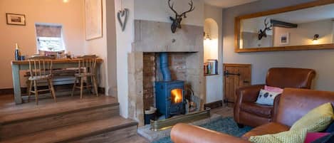 Télévision, cheminée, chaßne hi-fi