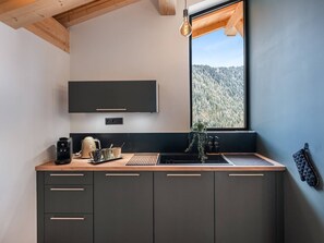 Fridge, oven, dishwasher - L'ATTIQUE - brand new apartment for 10 people in the center of Chatel (CHATEL)