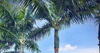 Hacienda Hotel Los Caballeros