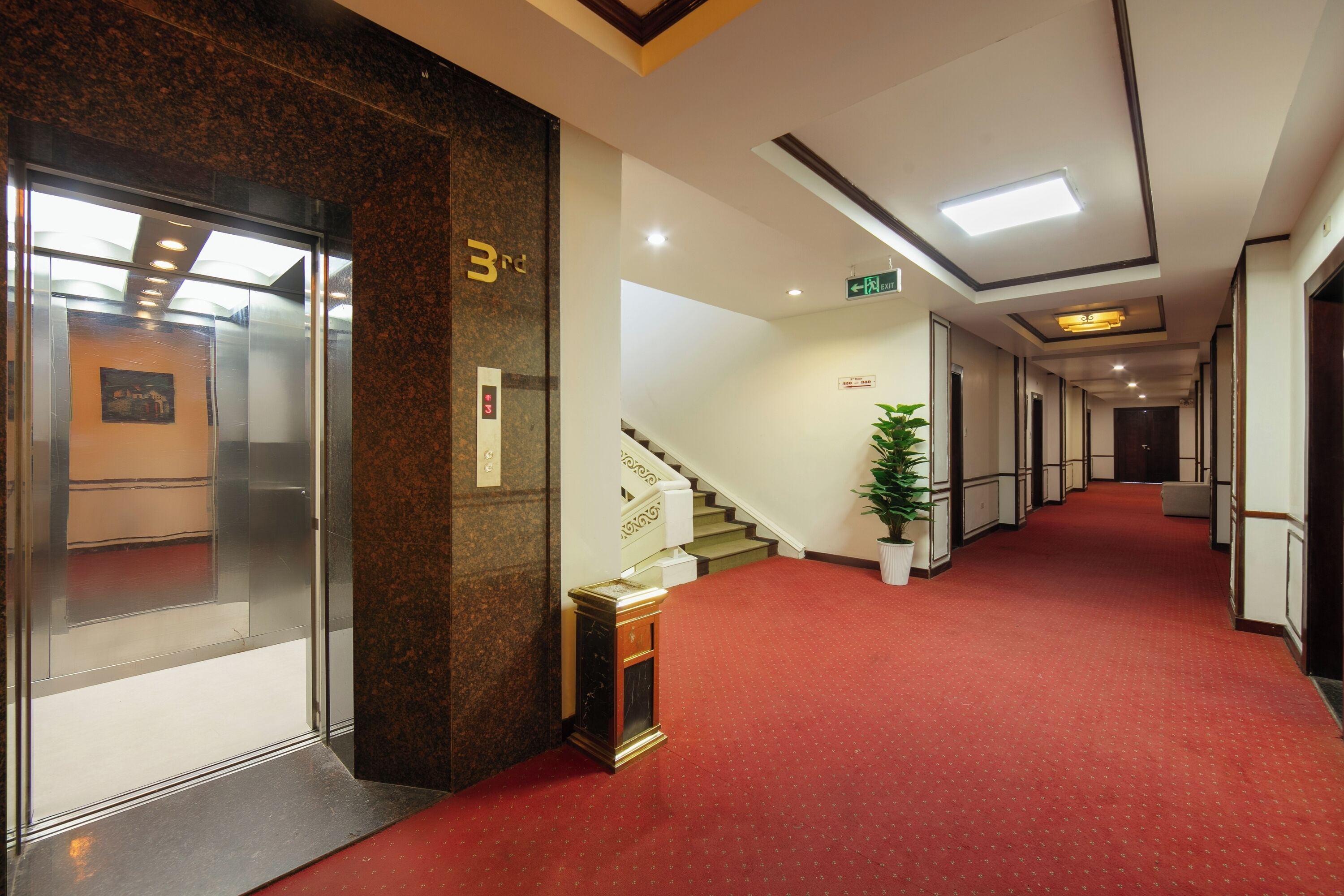 Foto - Sao Mai Hotel